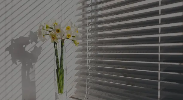 Rectangle 2 (2)